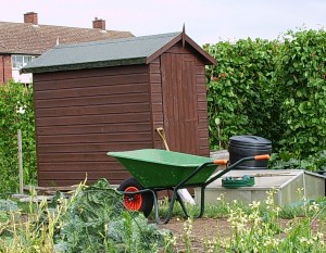 Allotment Shed